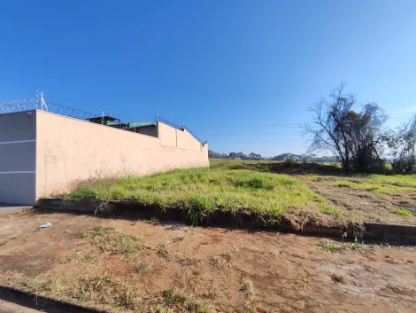 imagem 1 - Terreno de 250m² à venda - Residencial e Comercial Palmares imagem 1 - Terreno de 250m² à venda - Residencial e Comercial Palmares