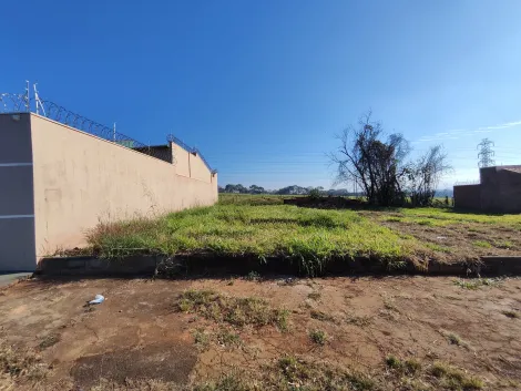 imagem 2 - Terreno de 250m² à venda - Residencial e Comercial Palmares imagem 2 - Terreno de 250m² à venda - Residencial e Comercial Palmares