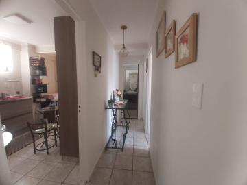 imagem 4 - ** LINDO APARTAMENTO ** imagem 4 - ** LINDO APARTAMENTO **