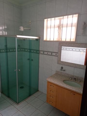 imagem 5 - EXCELENTE RESIDENCIA PARA LOCAÇÃO NO BAIRRO CITY RIBEIRÃO imagem 5 - EXCELENTE RESIDENCIA PARA LOCAÇÃO NO BAIRRO CITY RIBEIRÃO