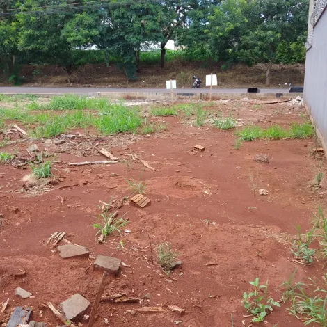 imagem 2 - Terreno - Padrão imagem 2 - Terreno - Padrão