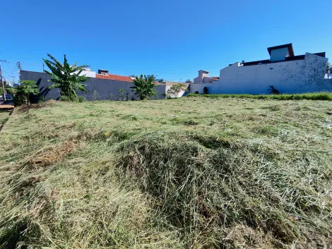 imagem 5 - Terreno de esquina com 299m² à venda - Alto da Boa Vista imagem 5 - Terreno de esquina com 299m² à venda - Alto da Boa Vista