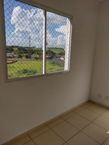 imagem 3 - APARTAMENTO PRÓXIMO Á RODOVIA ALEXANDRE BALBO imagem 3 - APARTAMENTO PRÓXIMO Á RODOVIA ALEXANDRE BALBO