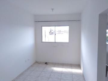 imagem 1 - APARTAMENTO PRÓXIMO À RUA JAVARI imagem 1 - APARTAMENTO PRÓXIMO À RUA JAVARI