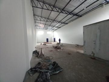 imagem 3 - Comercial padrão - Galpão - Armazém imagem 3 - Comercial padrão - Galpão - Armazém