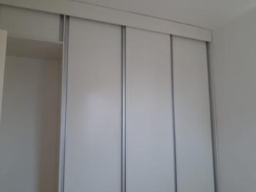 imagem 5 - Apartamento - Padrão imagem 5 - Apartamento - Padrão