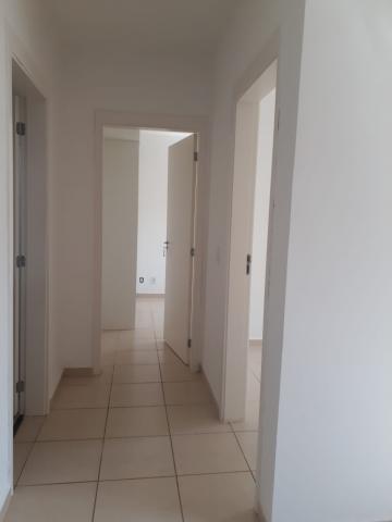 imagem 4 - Apartamento - Padrão imagem 4 - Apartamento - Padrão