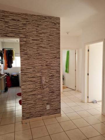 imagem 1 - APARTAMENTO PRÓXIMO À RODOVIA ANHANGUERA imagem 1 - APARTAMENTO PRÓXIMO À RODOVIA ANHANGUERA