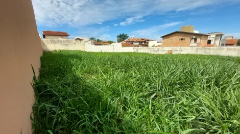 imagem 4 - Terreno - Padrão imagem 4 - Terreno - Padrão