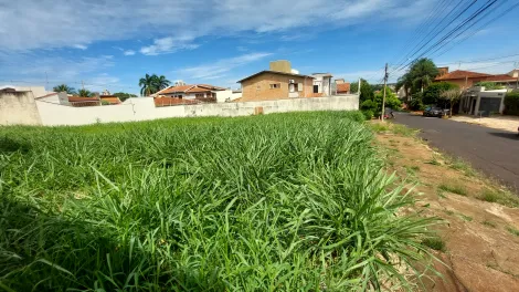 imagem 5 - Terreno - Padrão imagem 5 - Terreno - Padrão