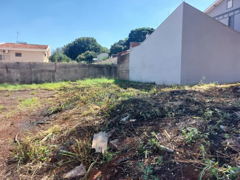 imagem 3 - Terreno misto de 280m² à venda - Alto da Boa Vista imagem 3 - Terreno misto de 280m² à venda - Alto da Boa Vista