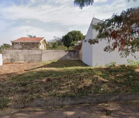 Alugar Terrenos / Padrão em Ribeirão Preto R$ 3.000,00 - Foto 1