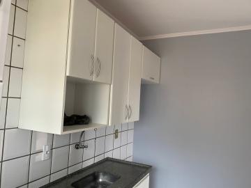 Alugar Apartamentos / Padrão em Ribeirão Preto R$ 900,00 - Foto 3