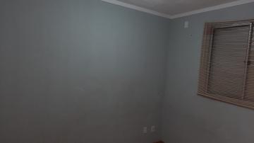 imagem 5 - APARTAMENTO PRÓXIMO À RODOVIA ANTÔNIO MACHADO SANTANNA imagem 5 - APARTAMENTO PRÓXIMO À RODOVIA ANTÔNIO MACHADO SANTANNA