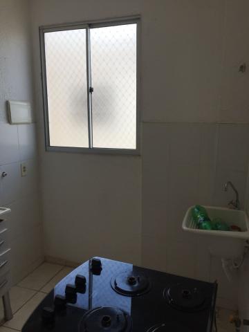 imagem 4 - APARTAMENTO PRÓXIMO À RODOVIA ANTÔNIO MACHADO SANTANNA imagem 4 - APARTAMENTO PRÓXIMO À RODOVIA ANTÔNIO MACHADO SANTANNA