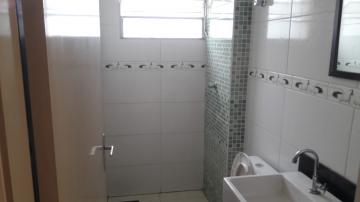 Alugar Apartamentos / Padrão em Ribeirão Preto R$ 550,00 - Foto 6