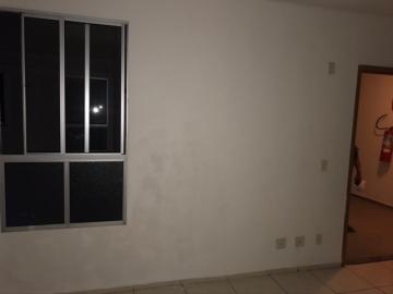 imagem 2 - APARTAMENTO PRÓXIMO À AVENIDA PROFESSORA EDUL RANGEL RABELLO imagem 2 - APARTAMENTO PRÓXIMO À AVENIDA PROFESSORA EDUL RANGEL RABELLO