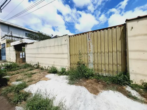 imagem 3 - Casa de 240m² com 05 quartos à venda - Vila Tamandaré imagem 3 - Casa de 240m² com 05 quartos à venda - Vila Tamandaré