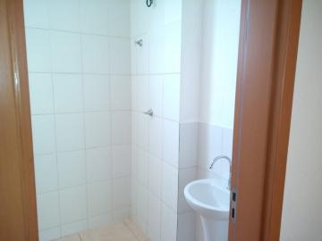 imagem 3 - EXCELENTE APARTAMENTO NO JARDIM JOSE SAMPAIO imagem 3 - EXCELENTE APARTAMENTO NO JARDIM JOSE SAMPAIO