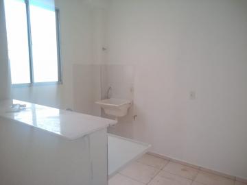 Alugar Apartamentos / Padrão em Ribeirão Preto R$ 900,00 - Foto 5