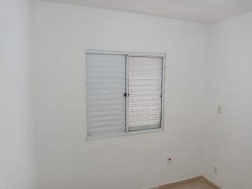 imagem 5 - APARTAMENTO PRÓXIMO À RODOVIA ANHANGUERA imagem 5 - APARTAMENTO PRÓXIMO À RODOVIA ANHANGUERA