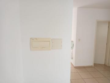 Comprar Apartamentos / Padrão em Ribeirão Preto R$ 149.000,00 - Foto 3