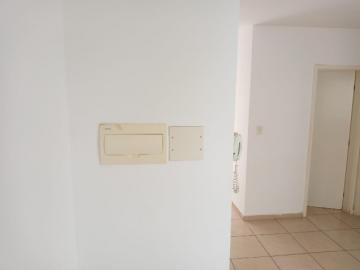 imagem 3 - APARTAMENTO PRÓXIMO À RODOVIA ANHANGUERA imagem 3 - APARTAMENTO PRÓXIMO À RODOVIA ANHANGUERA