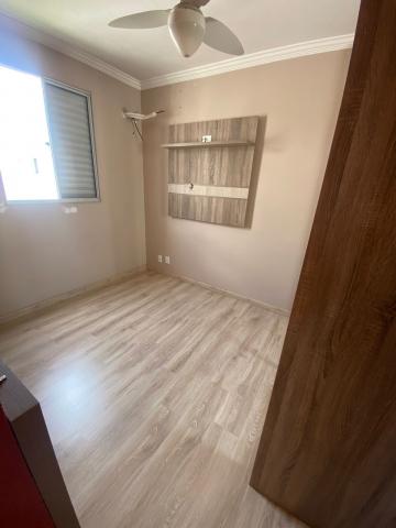 imagem 5 - APARTAMENTO PRÓXIMO À AVENIDA ALFREDO RAVANELI imagem 5 - APARTAMENTO PRÓXIMO À AVENIDA ALFREDO RAVANELI