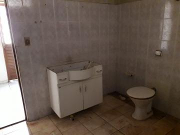 imagem 4 - Terreno - Padrão imagem 4 - Terreno - Padrão