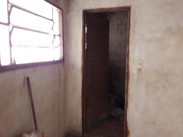 imagem 5 - Terreno - Padrão imagem 5 - Terreno - Padrão