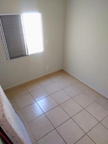 imagem 3 - APARTAMENTO PRÓXIMO À RODOVIA ANHANGUERA imagem 3 - APARTAMENTO PRÓXIMO À RODOVIA ANHANGUERA