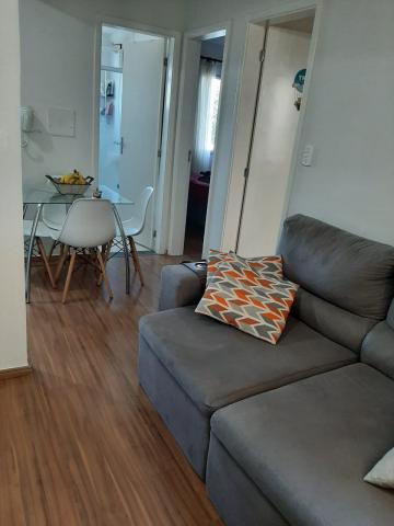 imagem 1 - APARTAMENTO PRÓXIMO À RODOVIA ANHANGUERA imagem 1 - APARTAMENTO PRÓXIMO À RODOVIA ANHANGUERA