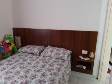 imagem 3 - APARTAMENTO TÉRREO NO BAIRRO VILA VIRGINIA imagem 3 - APARTAMENTO TÉRREO NO BAIRRO VILA VIRGINIA