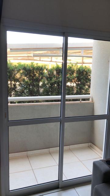 imagem 3 - Apartamento - Padrão imagem 3 - Apartamento - Padrão