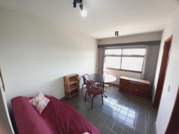 Apartamentos / Padrão em Ribeirão Preto 