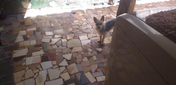 imagem 4 - CASA EM LOCALIZAÇÃO IDEAL EM SERTÃOZINHO imagem 4 - CASA EM LOCALIZAÇÃO IDEAL EM SERTÃOZINHO