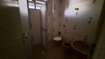 imagem 5 - **Apartamento próximo a AV 13 de maio** imagem 5 - **Apartamento próximo a AV 13 de maio**
