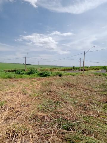 imagem 1 - Terreno - Padrão imagem 1 - Terreno - Padrão