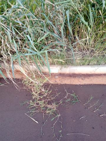 imagem 2 - Terreno - Padrão imagem 2 - Terreno - Padrão