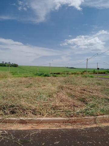 Comprar Terrenos / Padrão em Ribeirão Preto R$ 260.000,00 - Foto 3