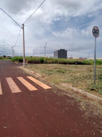 Comprar Terrenos / Padrão em Ribeirão Preto R$ 260.000,00 - Foto 5