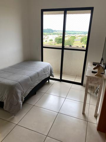 imagem 1 - Apartamento de 34m² com 01 quarto à venda - Quintas de São José imagem 1 - Apartamento de 34m² com 01 quarto à venda - Quintas de São José