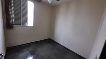 imagem 5 - **ÓTIMO APARTAMENTO NO JARDIM INTERLAGOS** imagem 5 - **ÓTIMO APARTAMENTO NO JARDIM INTERLAGOS**