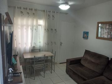 imagem 1 - APARTAMENTO TÉRREO NA VILA VIRGÍNIA imagem 1 - APARTAMENTO TÉRREO NA VILA VIRGÍNIA