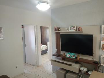 imagem 2 - APARTAMENTO TÉRREO NA VILA VIRGÍNIA imagem 2 - APARTAMENTO TÉRREO NA VILA VIRGÍNIA