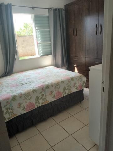 imagem 3 - APARTAMENTO TÉRREO NA VILA VIRGÍNIA imagem 3 - APARTAMENTO TÉRREO NA VILA VIRGÍNIA