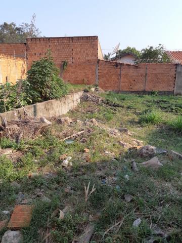 imagem 3 - Terreno - Padrão imagem 3 - Terreno - Padrão