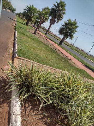imagem 1 - TERRENO EM ESQUINA PRÓXIMO À AVENIDA ADÉLIA FERNANDES FERREIRA imagem 1 - TERRENO EM ESQUINA PRÓXIMO À AVENIDA ADÉLIA FERNANDES FERREIRA