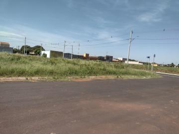 imagem 2 - TERRENO EM ESQUINA PRÓXIMO À AVENIDA ADÉLIA FERNANDES FERREIRA imagem 2 - TERRENO EM ESQUINA PRÓXIMO À AVENIDA ADÉLIA FERNANDES FERREIRA