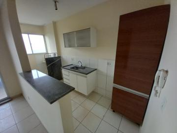 imagem 4 - APARTAMENTO PRÓXIMO À RODOVIA ANTÔNIO DUARTE NOGUEIRA imagem 4 - APARTAMENTO PRÓXIMO À RODOVIA ANTÔNIO DUARTE NOGUEIRA